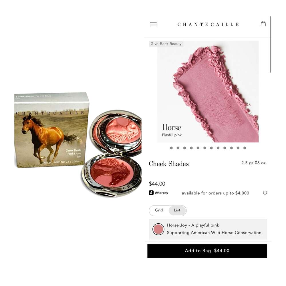 Chantecaille Philanthropy Cheek Shade in Joy (Wild Horse). NIB! - Picture 2 of 12